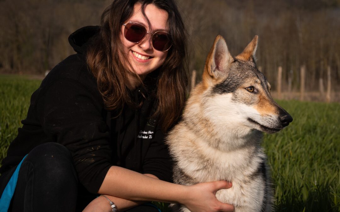 Canine Harmonie