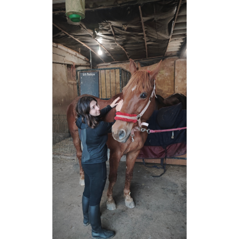 Cheval Cheval