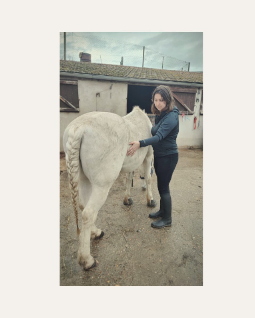 Bien-être animal Bien-être animal