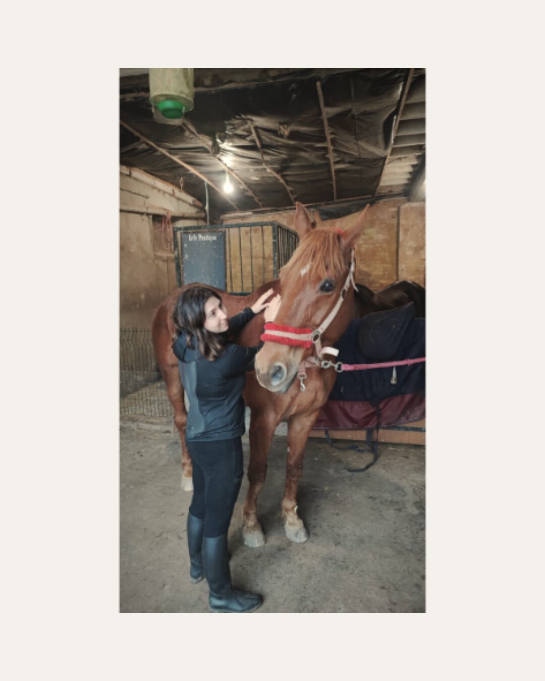 Cheval Cheval
